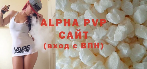 шишки Новодвинск