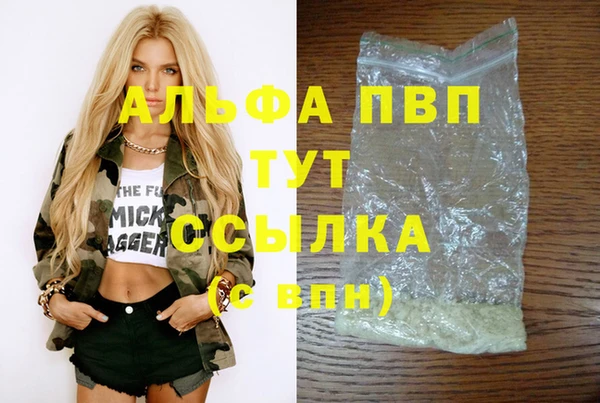 PSILOCYBIN Новокубанск