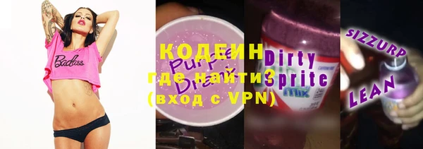 шишки Новодвинск