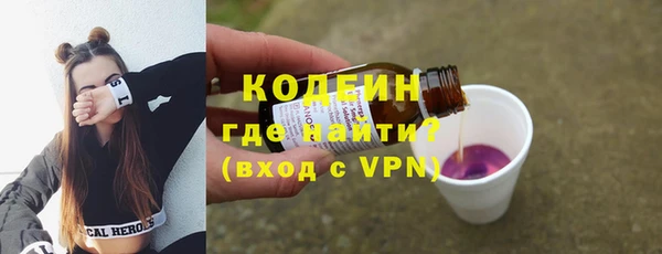 шишки Новодвинск