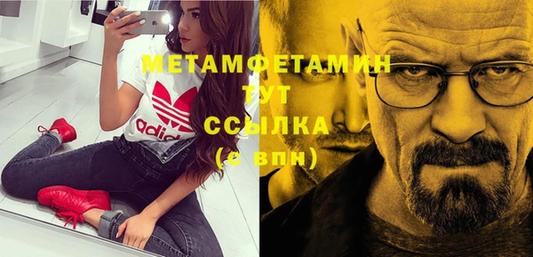 шишки Новодвинск