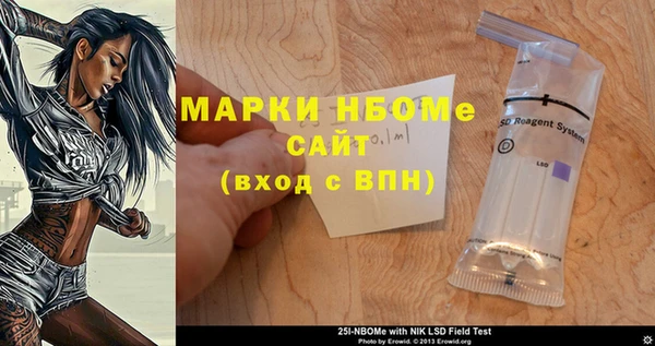 шишки Новодвинск