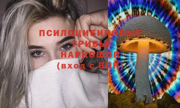 сатива Нефтегорск