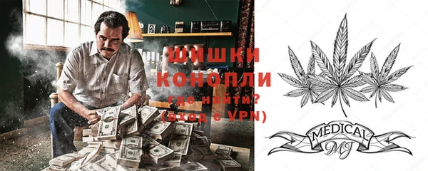 шишки Новодвинск