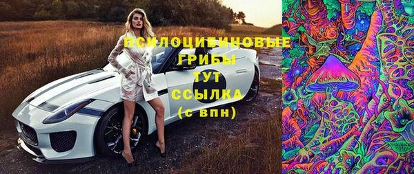 ГАЛЛЮЦИНОГЕННЫЕ ГРИБЫ Новозыбков