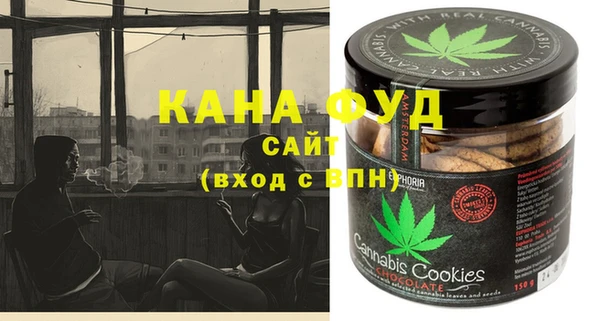 шишки Новодвинск