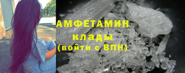 шишки Новодвинск