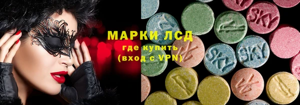 ГАЛЛЮЦИНОГЕННЫЕ ГРИБЫ Новозыбков