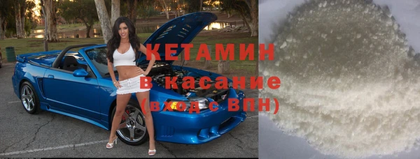 шишки Новодвинск