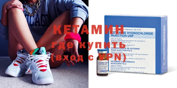 шишки Новодвинск