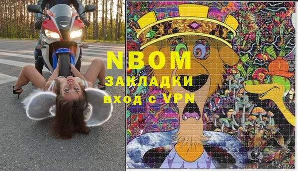 шишки Новодвинск