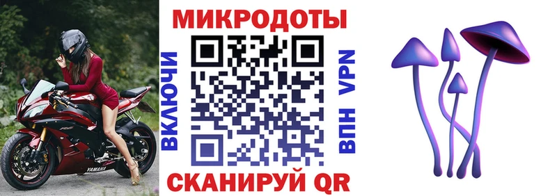 Галлюциногенные грибы Cubensis  магазин  наркотиков  Новоалександровск 