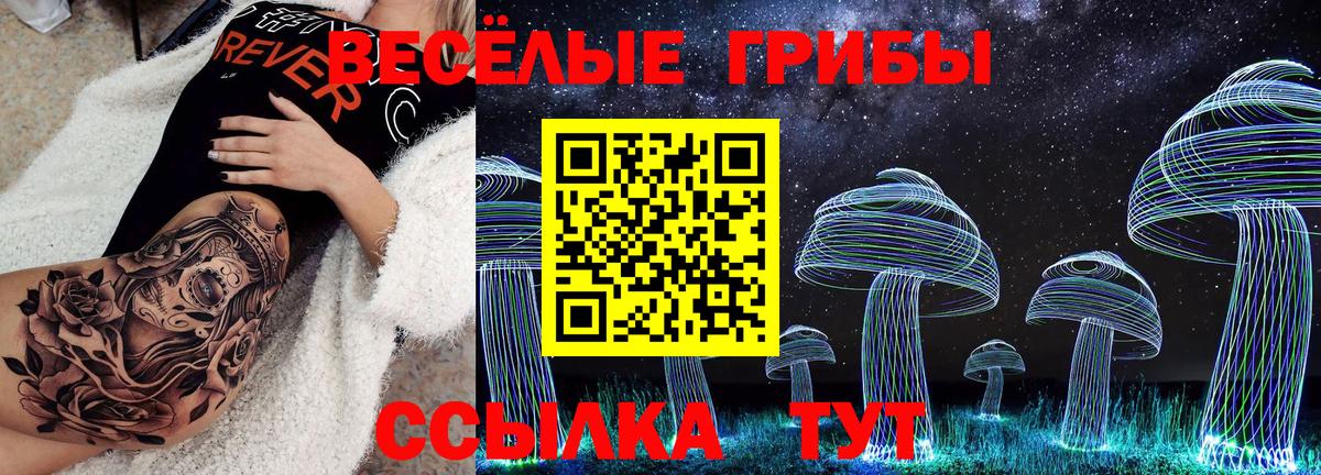 Псилоцибиновые грибы Magic Shrooms  где купить наркотик  Псилоцибиновые грибы MAGIC MUSHROOMS  Новоалександровск 